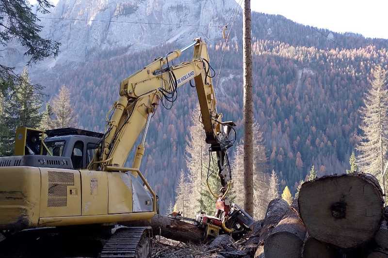 OmecoHub - Immagine NEW HOLLAND E245B